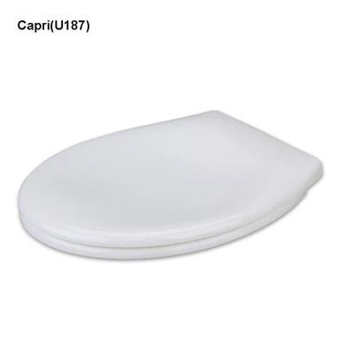 Kursi Toilet yang Dapat Dilepas untuk Pembersihan Mudah