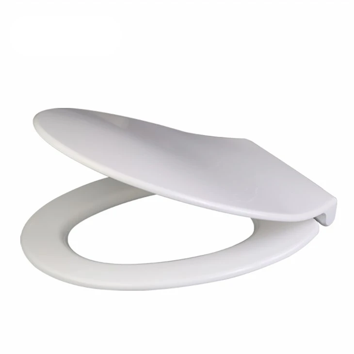 toilet-seat-replacement