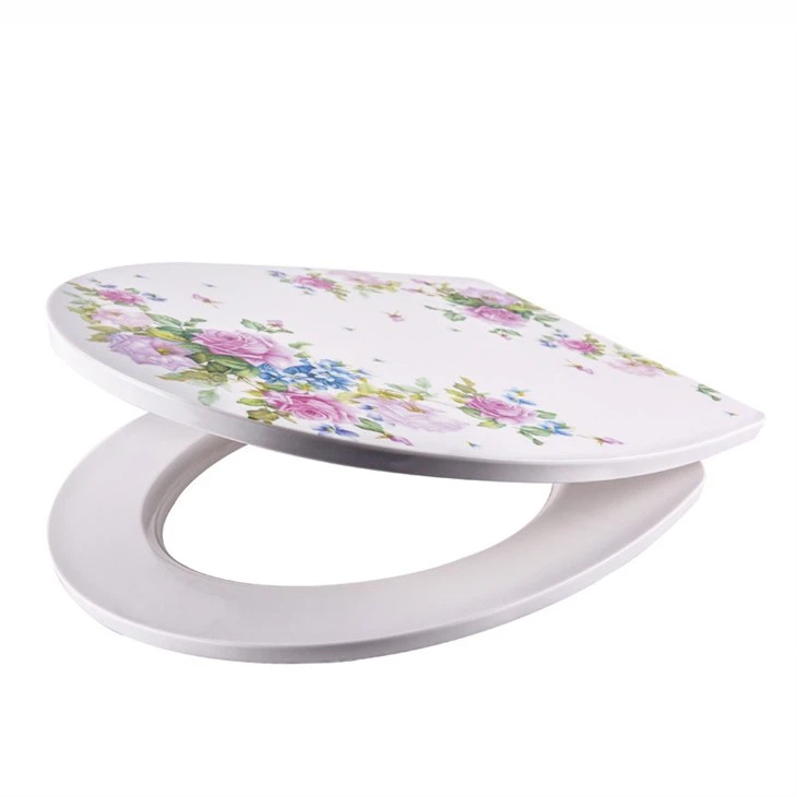 decoration-toilet-seat