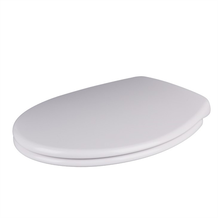 1 one-push-button-toilet-seat