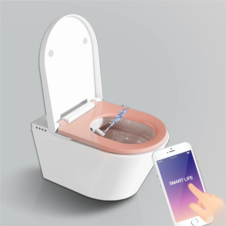 Toilet Gantung Dinding Dengan Bidet